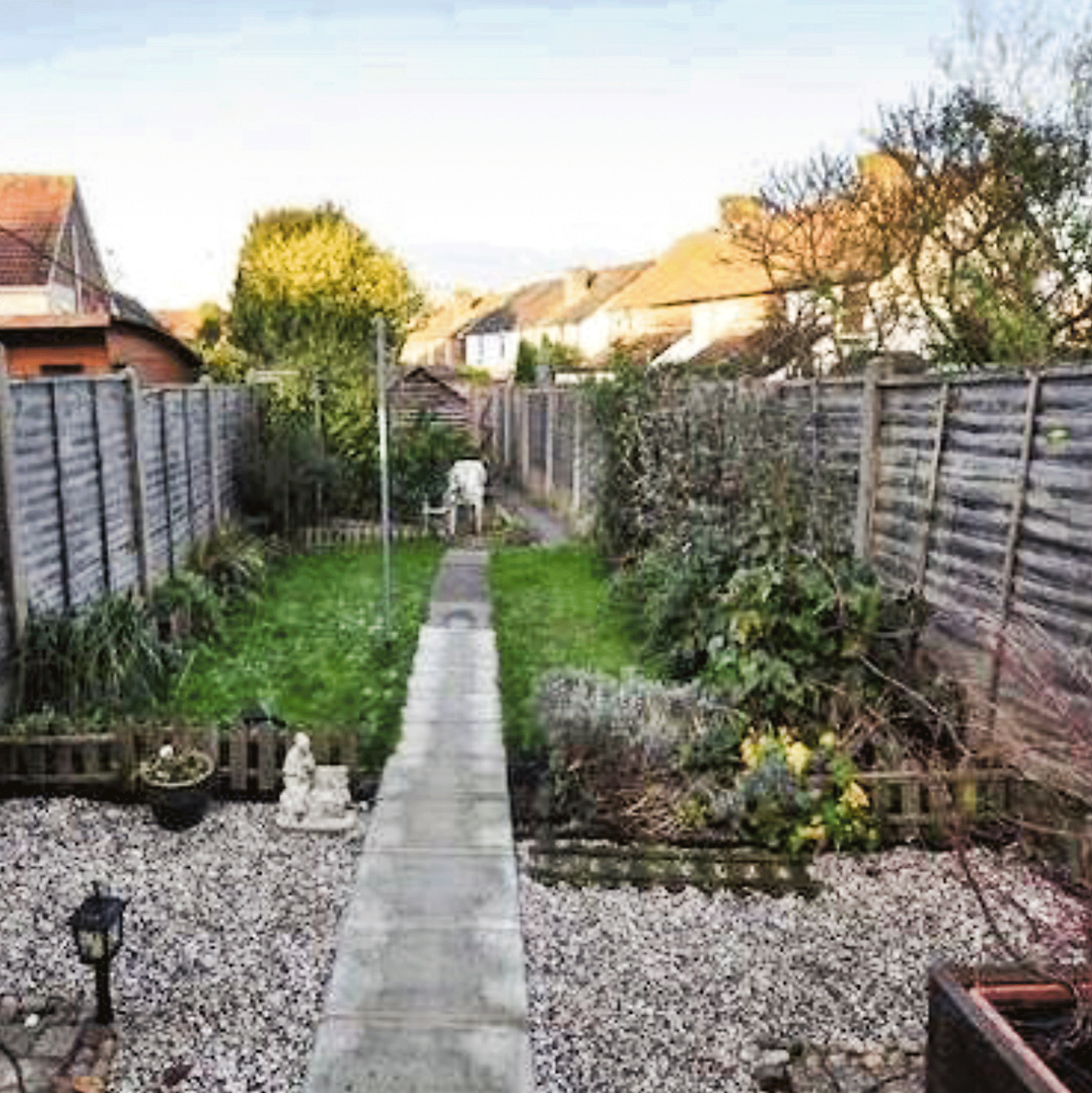 a tired, dull, overgrown garden