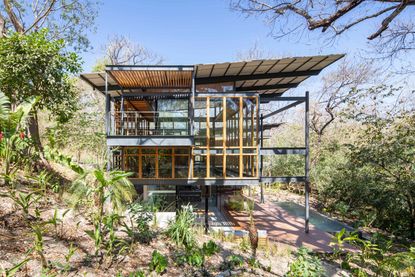 Wood and glass two storey jungle house 