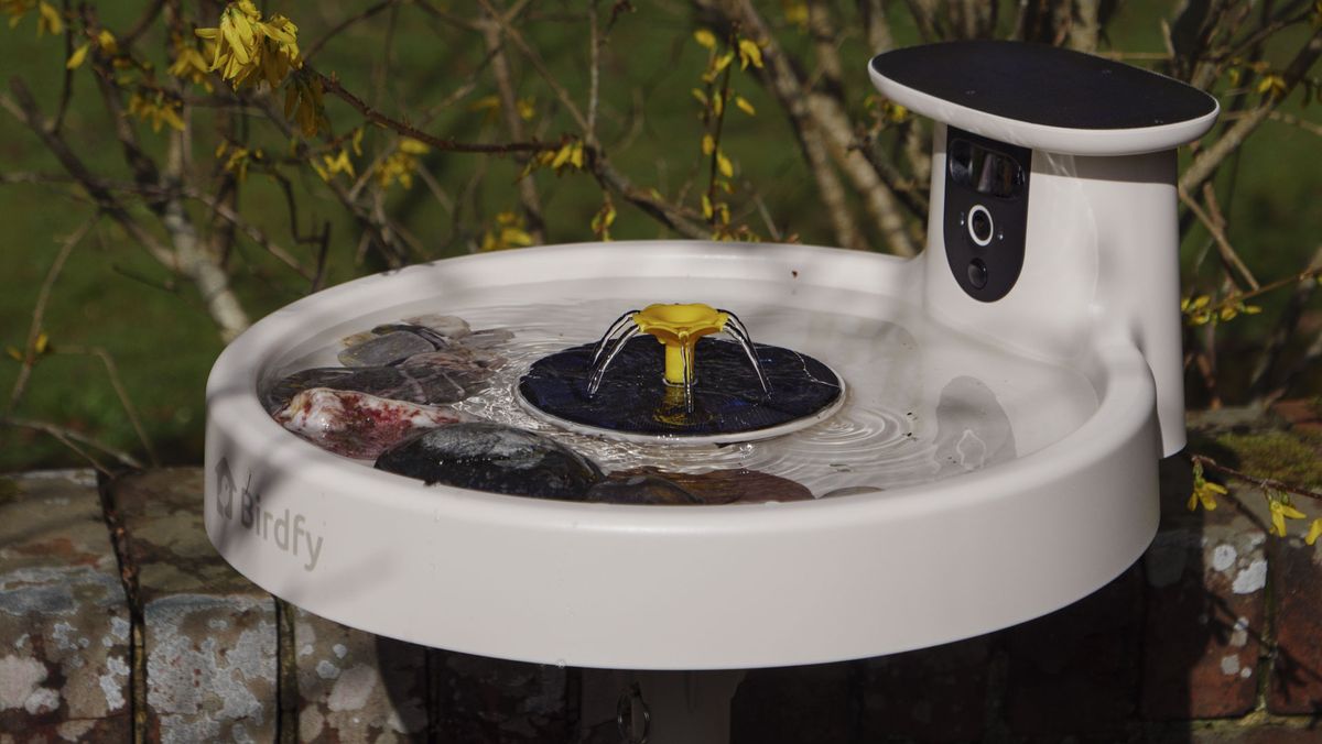 I’ve been using bird feeder cameras for years, and new avian health warnings had me worried for the summer months — but this smart bird bath alternative, along with expert advice, will let me get my garden bird-watching fix responsibly