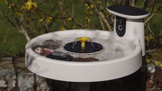 Birdfy Bird Bath Pro camera in a garden with fountain