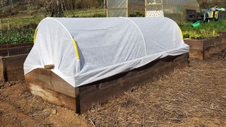 picture of raised bed with thermal blanket covering it to protect plants