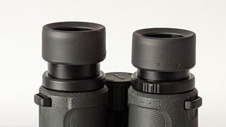 Nikon Prostaff P3 8x42 binocular eyecups