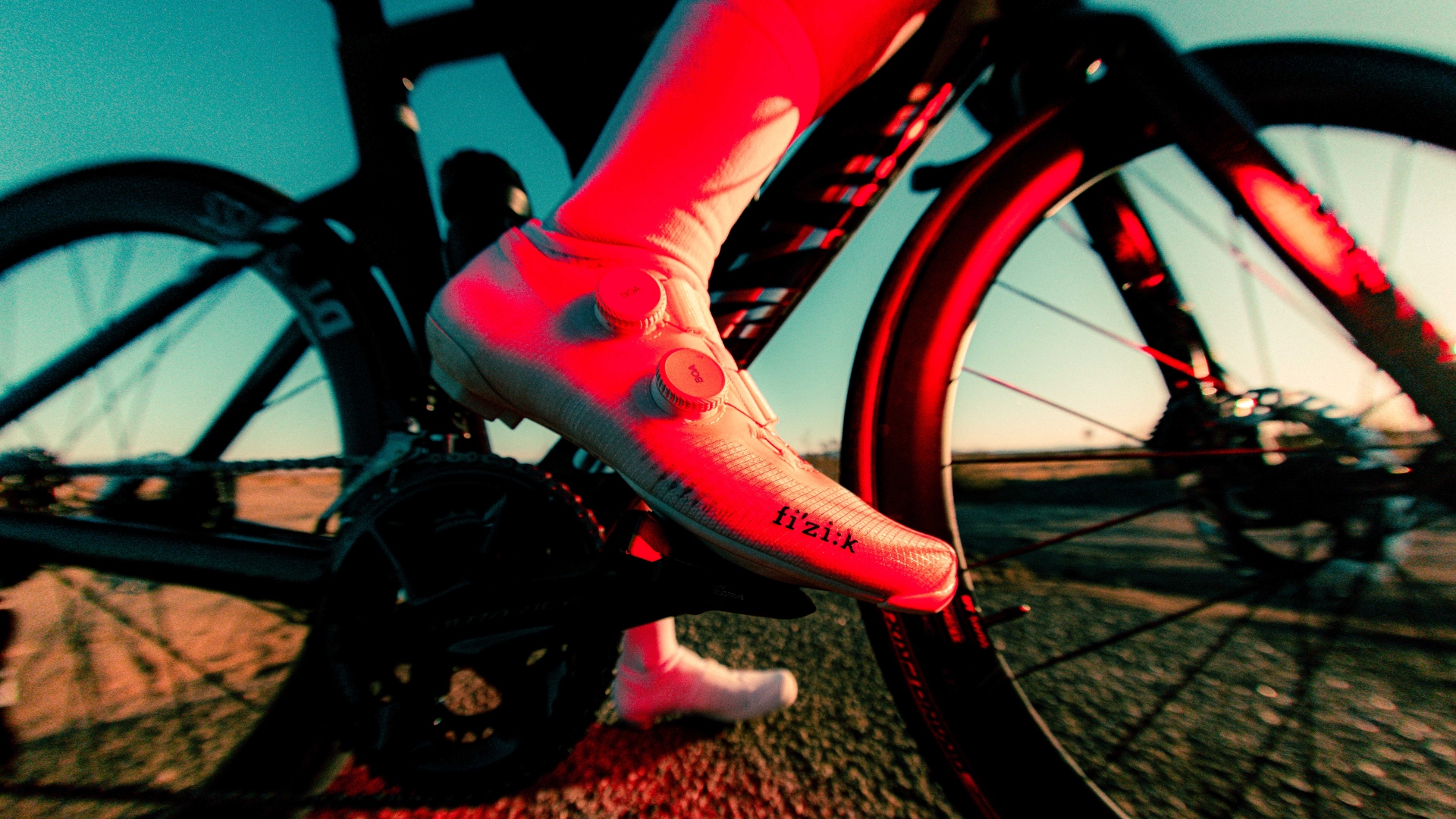 Fizik Vega Carbon