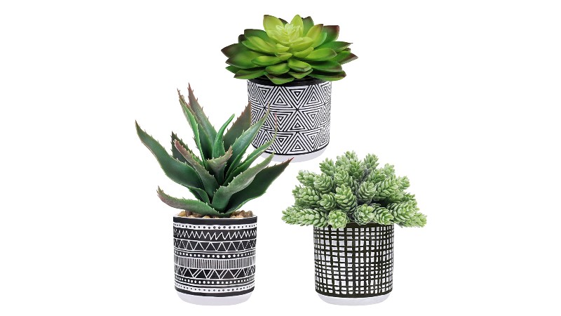 best artificial succulents