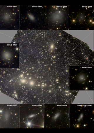 Zoomed in images of the Perseus cluster as seen by Euclid show dwarf galaxies