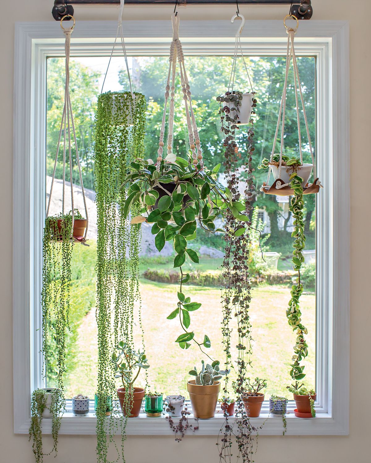 5 Clever Ways To Hang Indoor Plants - Bring Your Home To Life 