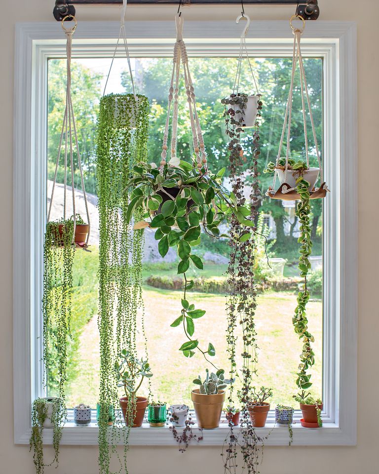 5 clever ways to hang indoor plants - bring your home to life | Livingetc