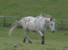 854100.jpg