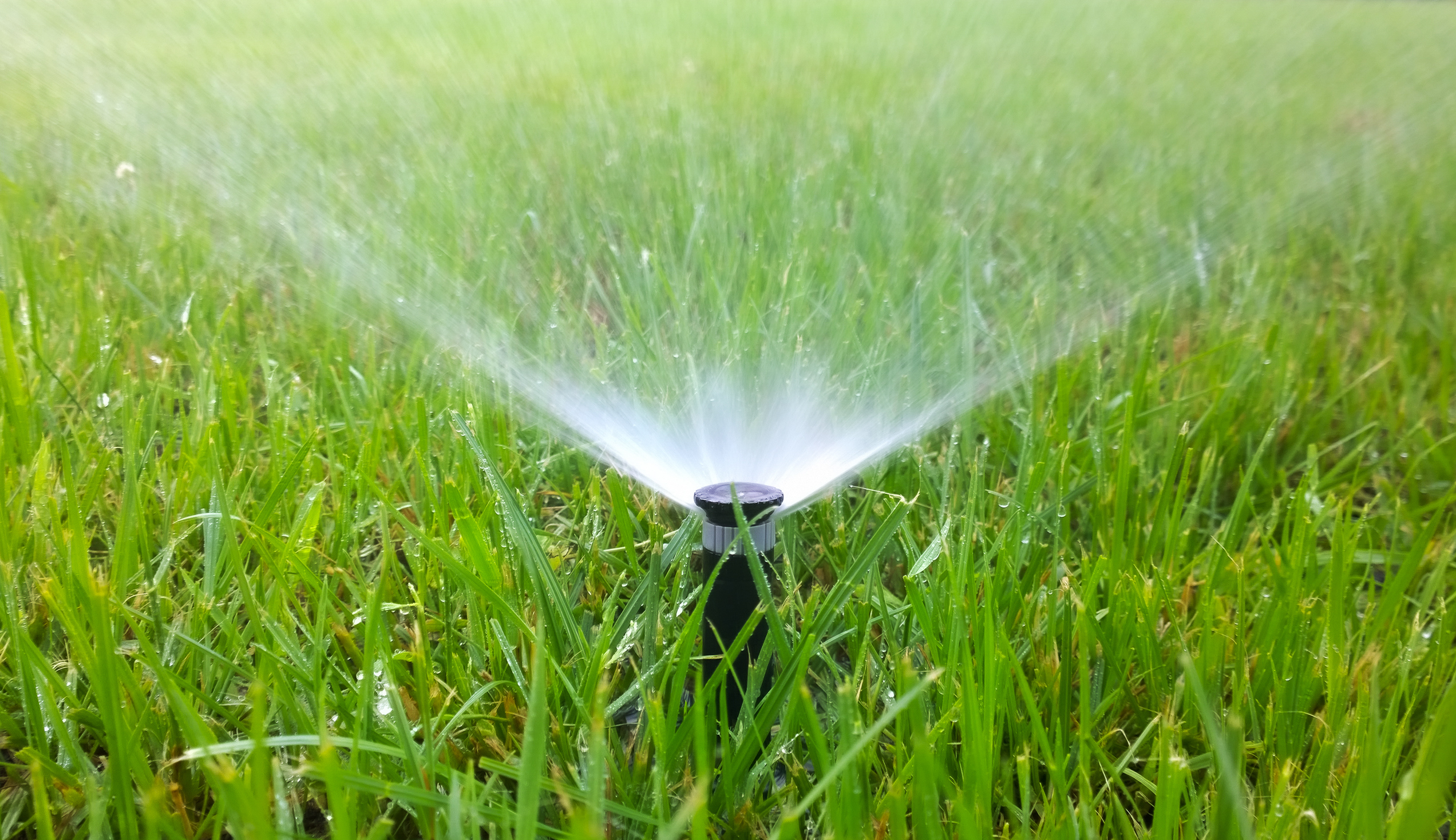 A sprinkler on a lawn