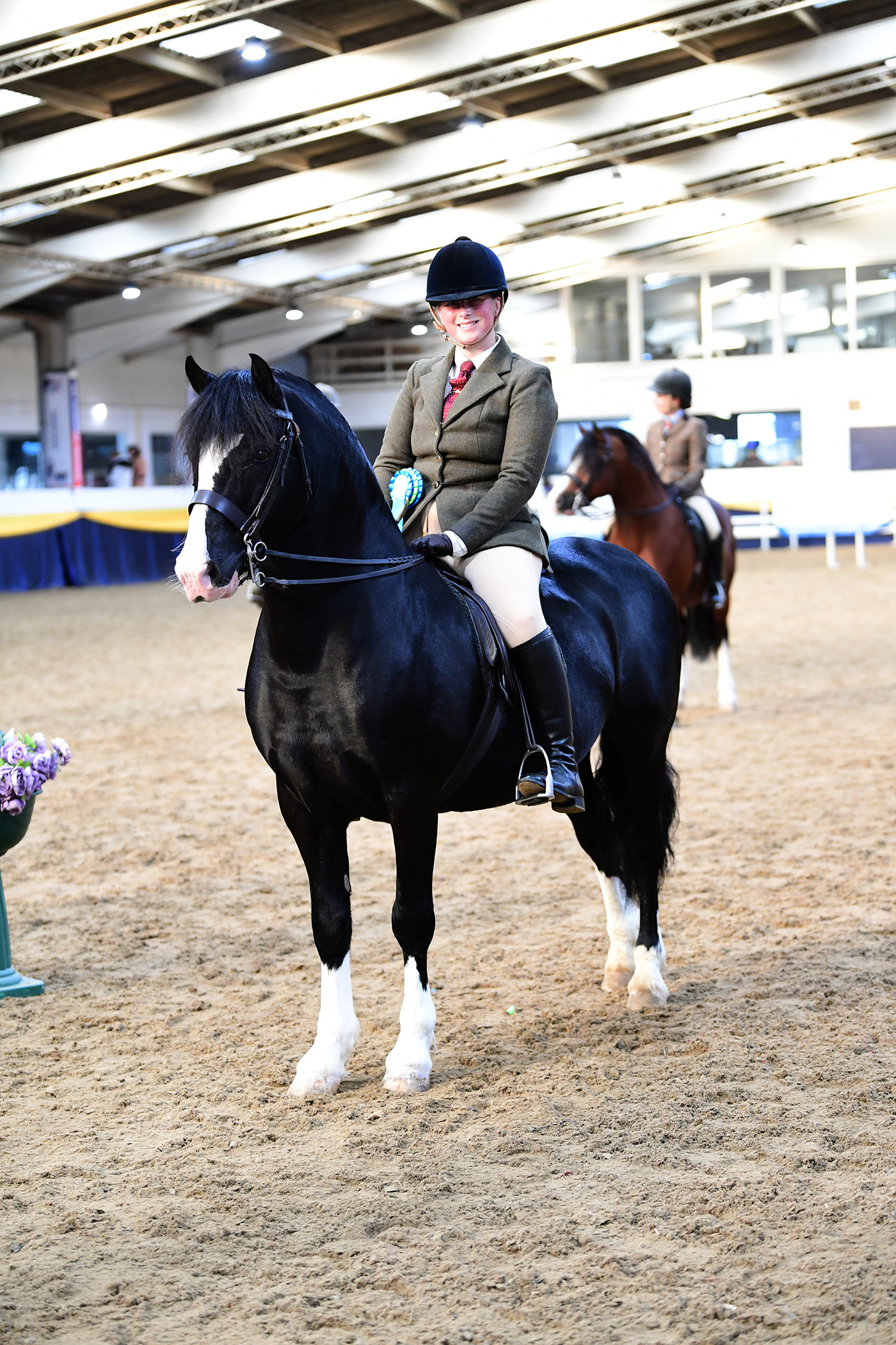 Heritage Show 15.10.23London Int. Semi Final Welsh CCl.80 No.101Menai George