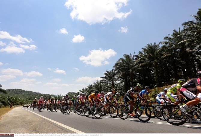 The peloton on one last jaunt for the 2014 Tour de Langkawi