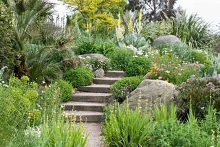 steps leading up through alpine planting for sustainable gardens