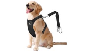 VavoPaw Dog Vehicle Safety dog car harness