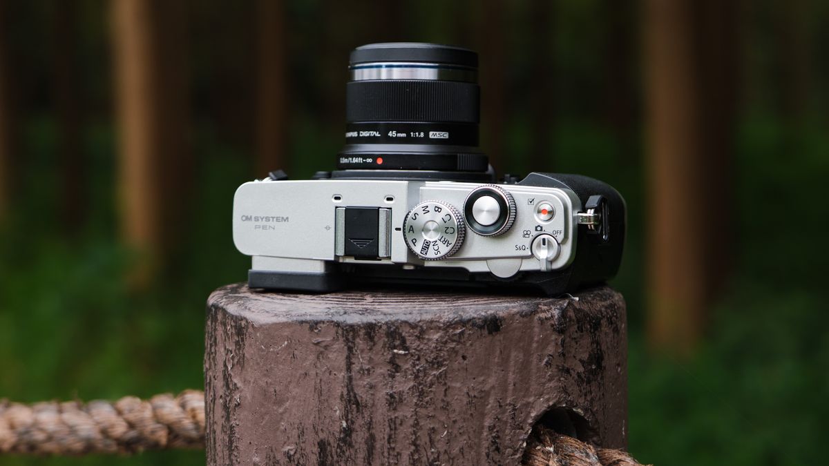 OM System PEN mirrorless camera on a wooden post on the edge of a forest in a nature reserve, the camera is on its back and the top plate is seen