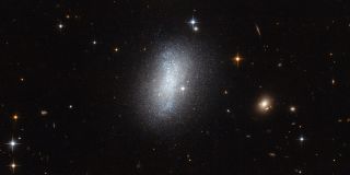 Dwarf Irregular Galaxy PGC 18431