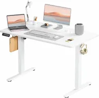 Smug  Ergonomic Standing Desk