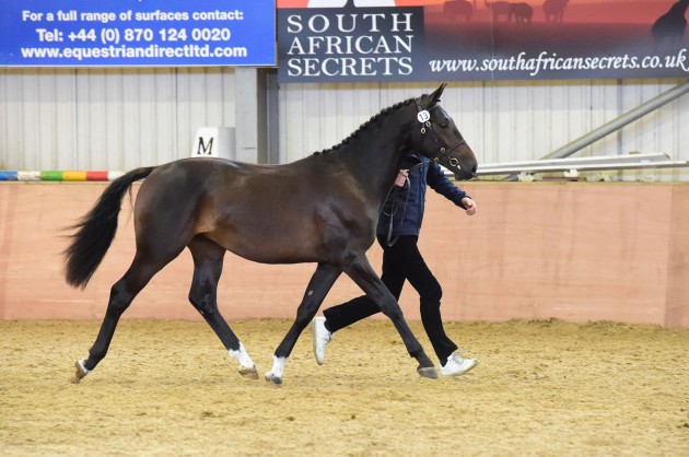 Longacres Super Sonic