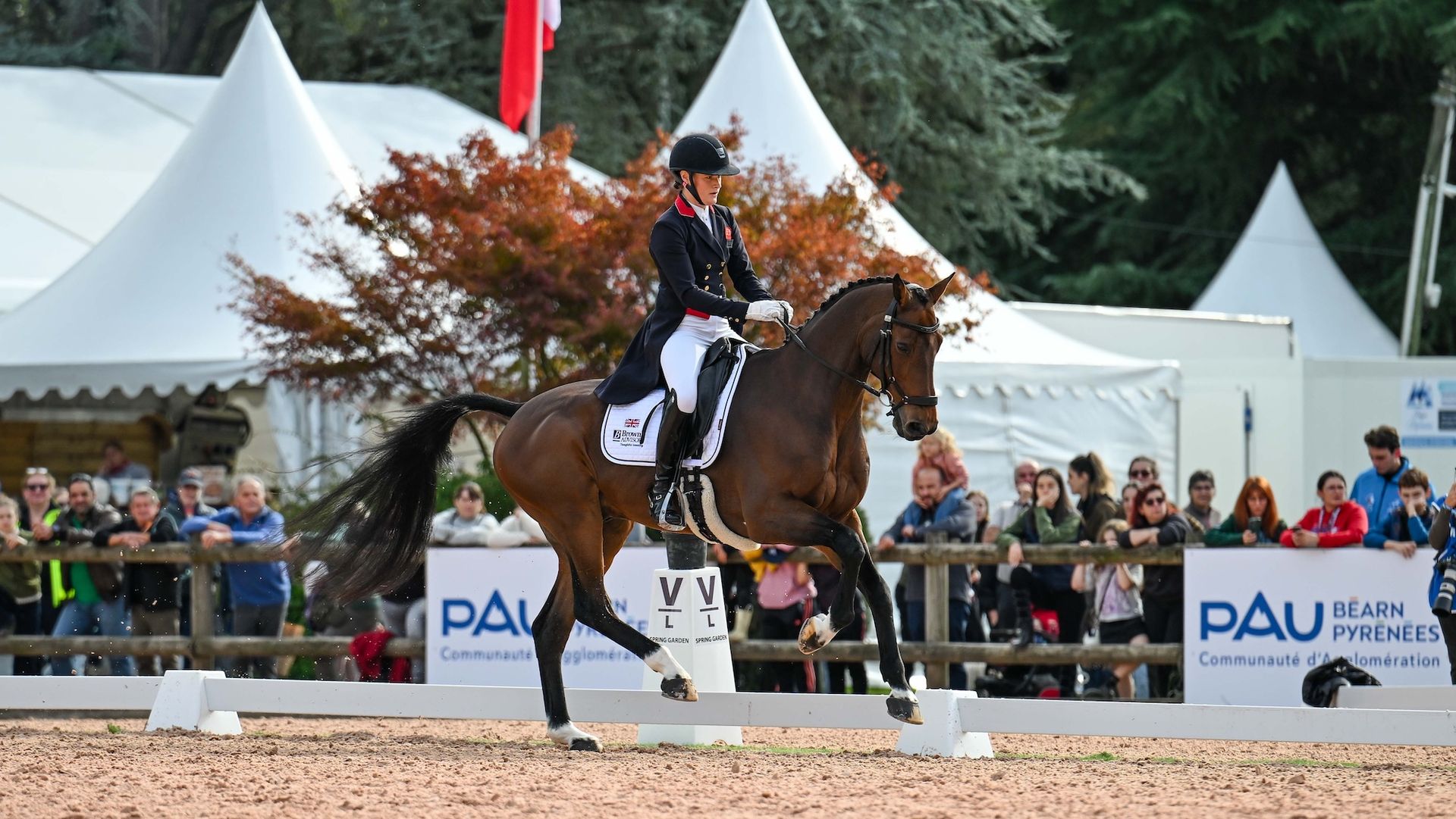 Bubby Upton and Cola in Pau Horse Trials dressage phase 2026