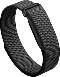 Google  Fitbit Air 