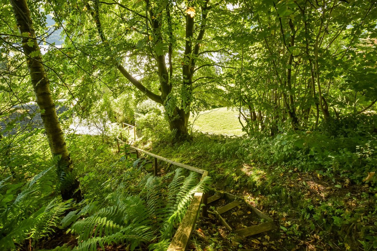 Images of Waterfall Cottage, Perthshire