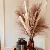 Pampered Pampas Natural Dried Pampas Grass | £22.99 £19.99 at Amazon