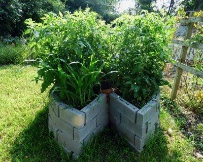 Keyhole Garden Beds