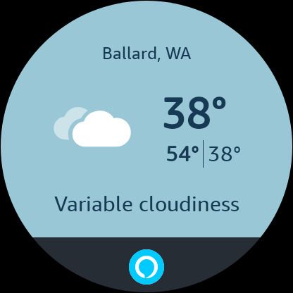 The Alexa app on Wear OS