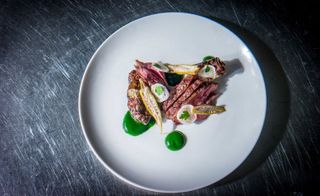 grilled spring lamb, with green garlic, artichoke and pickled okra