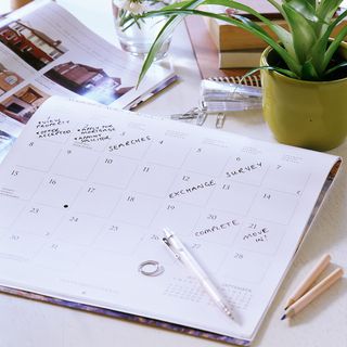 calender with pen and plant