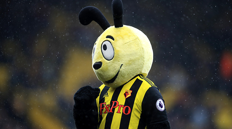 Harry the Hornet