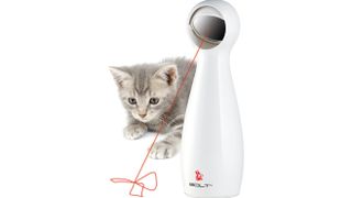 A kitten playing with the PetSafe FroliCat Stimulating Exercise Laser Cat Toy