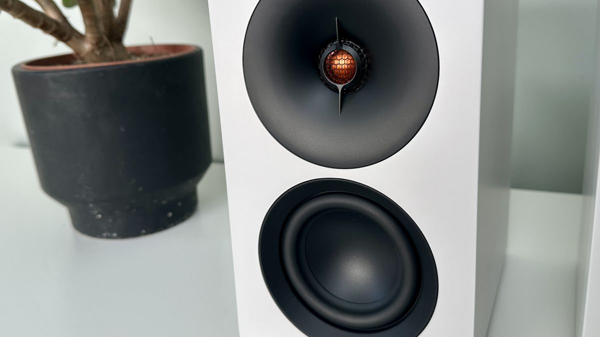 Front panel of the Cambridge L/R S active speaker system, in front of a plant, on white surface.