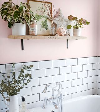a bathroom with top half of wall in blush pink paint and bottom half with white tiles, with a wooden shelf on the wall containing pot plants and ocean decorations