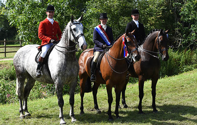 RIHS Hickstead 2017