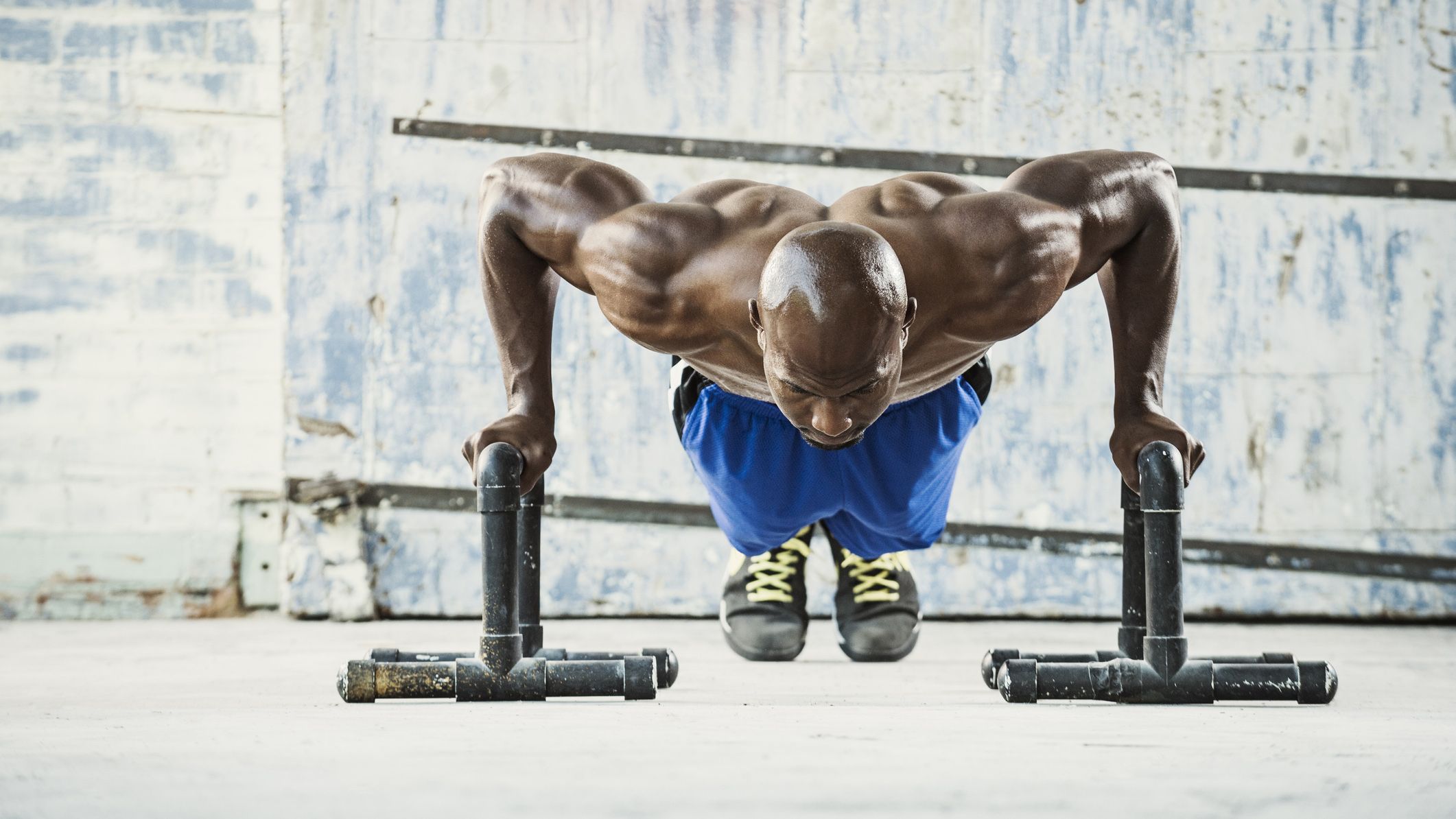 Push Up Parallettes