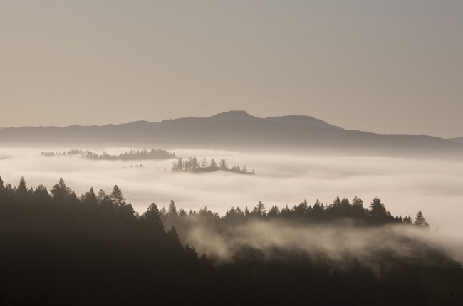 outpost wines, howell mountain