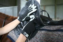 gloves_4_gallops_image.jpg