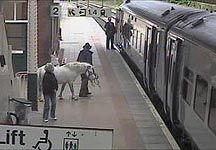 pony-train.jpg