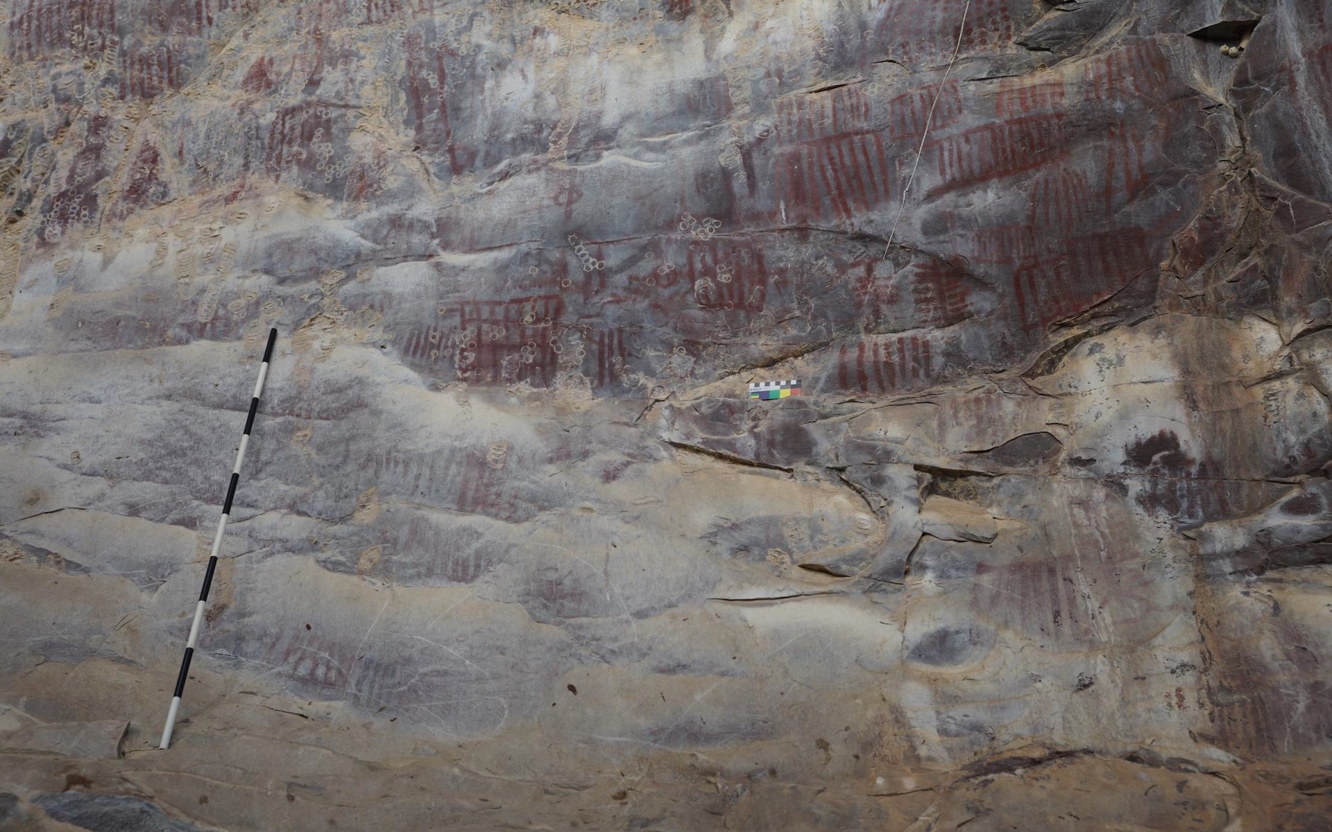 More examples of newly found rock art are seen in this photo.
