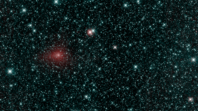 NEOWISE's view of a comet called C/2018 Y1 Iwamoto, captured on Feb. 25, 2019.