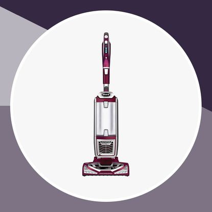7 Best Shark Vacuums That Clean Every Inch Of Your Home