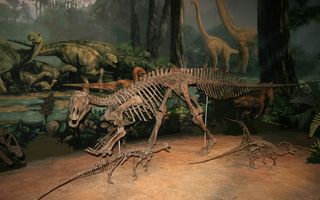 Tenontosaurus dinosaur mount