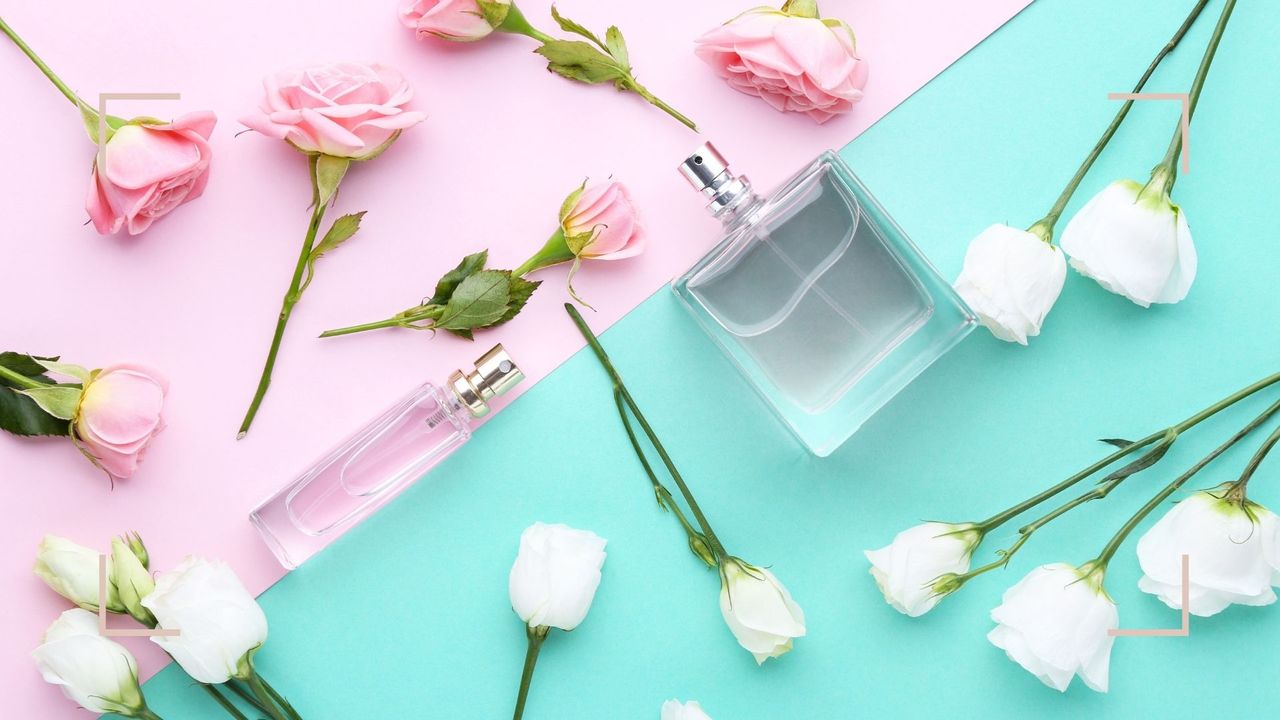 Two bottles of perfume - eau de toilette vs parfum on a blue and pink background with flowers