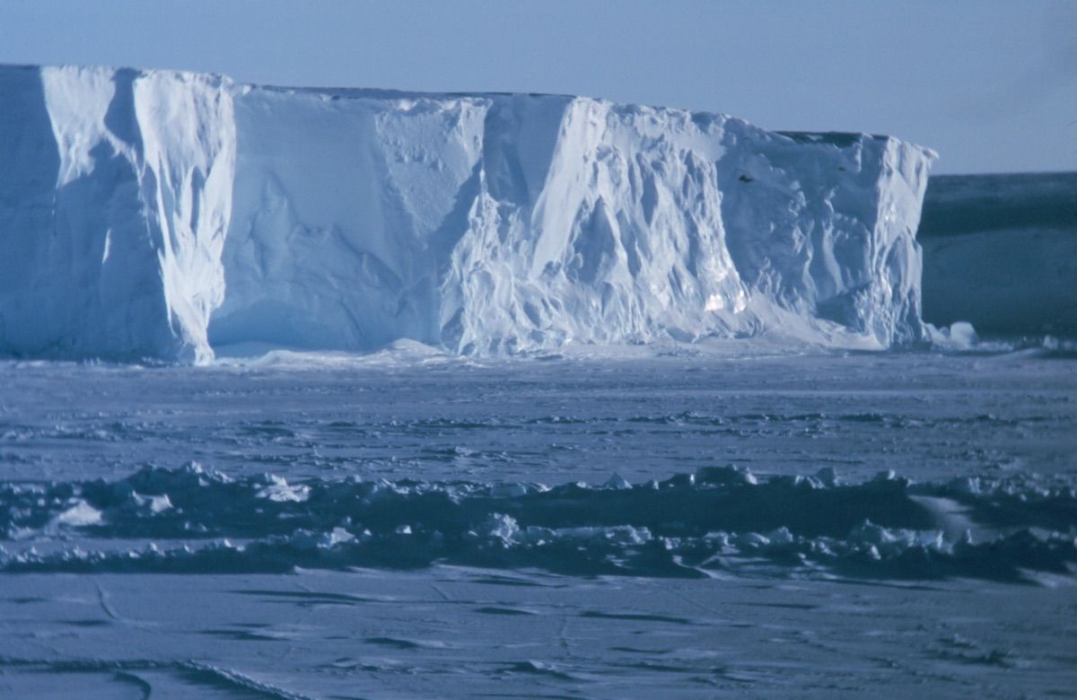 Why is Antarctica in danger?