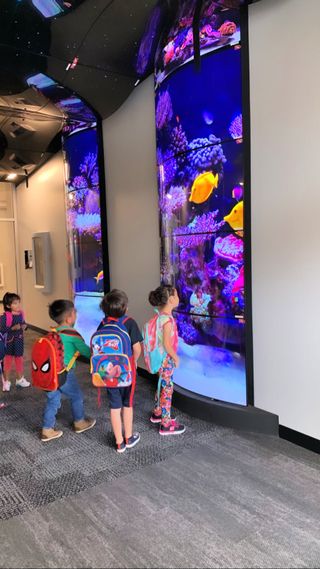 When building out new facilities, Sherlock School in Cicero, IL called upon integrator Snap Install to incorporate LG Commercial OLED displays throughout the building to create flexible learning environments for the students.