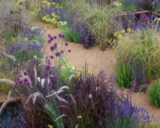 ornamental grasses in gravel garden