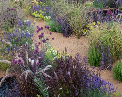 Landscaping with grasses: 10 clever ways to use these plants | Gardeningetc