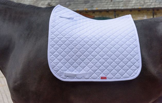 Albion England Diamond Dressage Square review