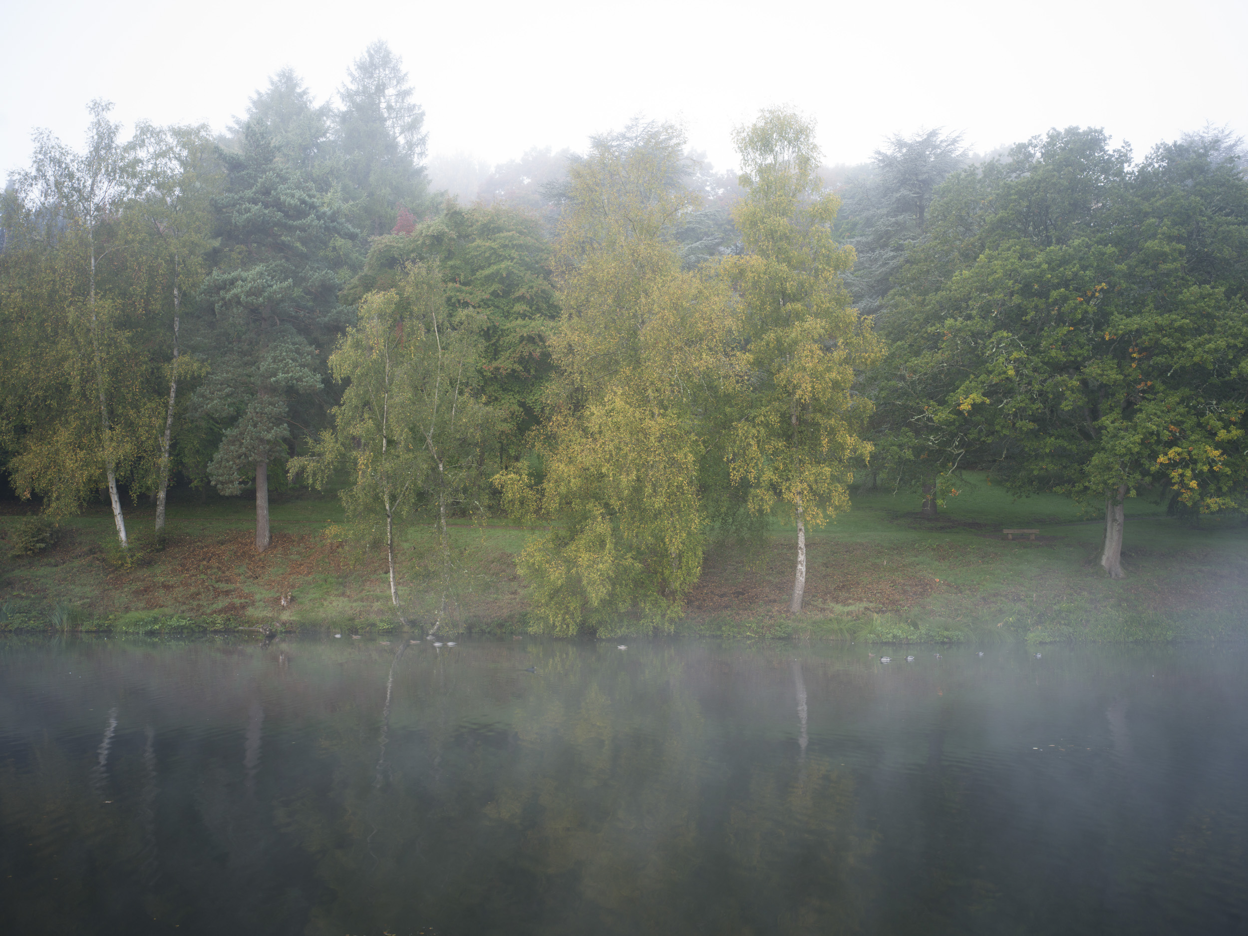 Sample image taken with the Hasselblad X2D 100C of a misty forest reflected in a lak
