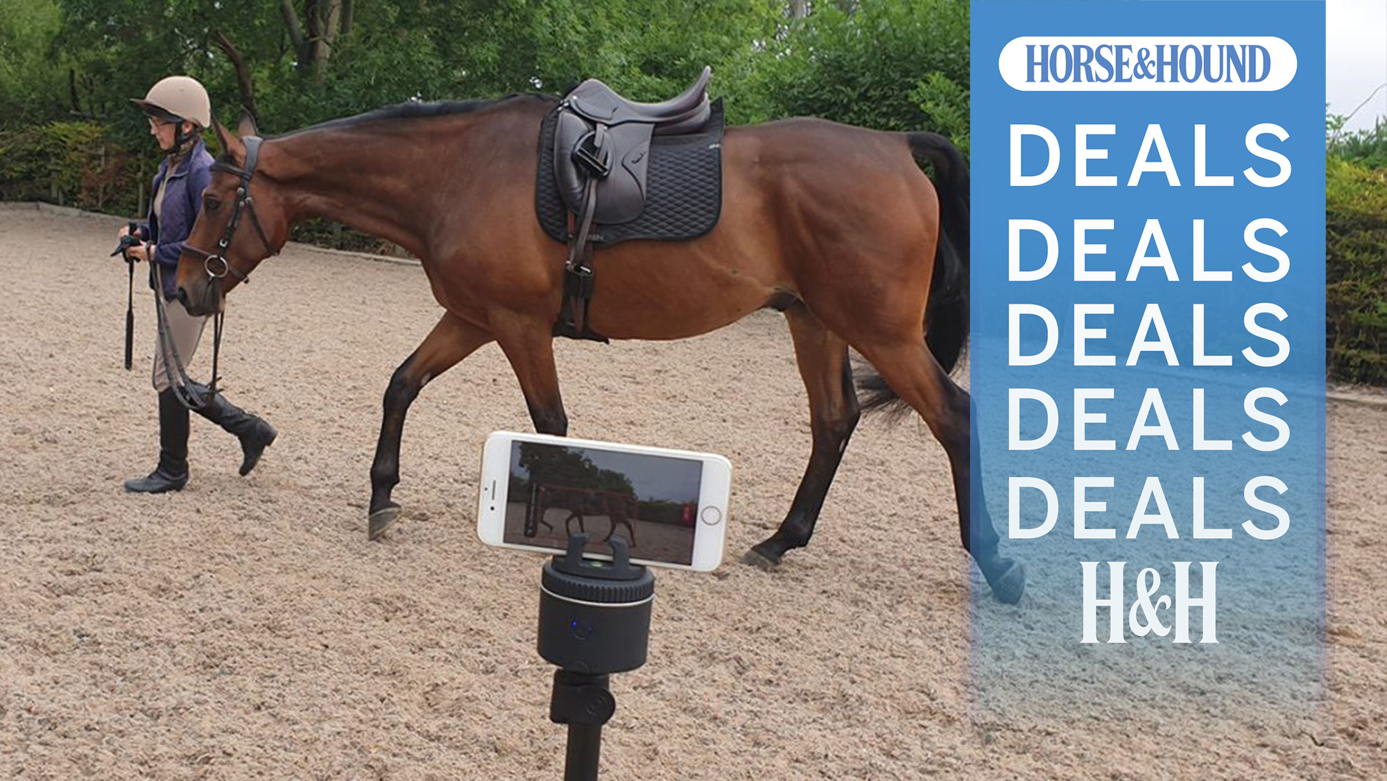 Lady leading horse in background with Pivo pod in foreground, and H&amp;H deals graphic on the right